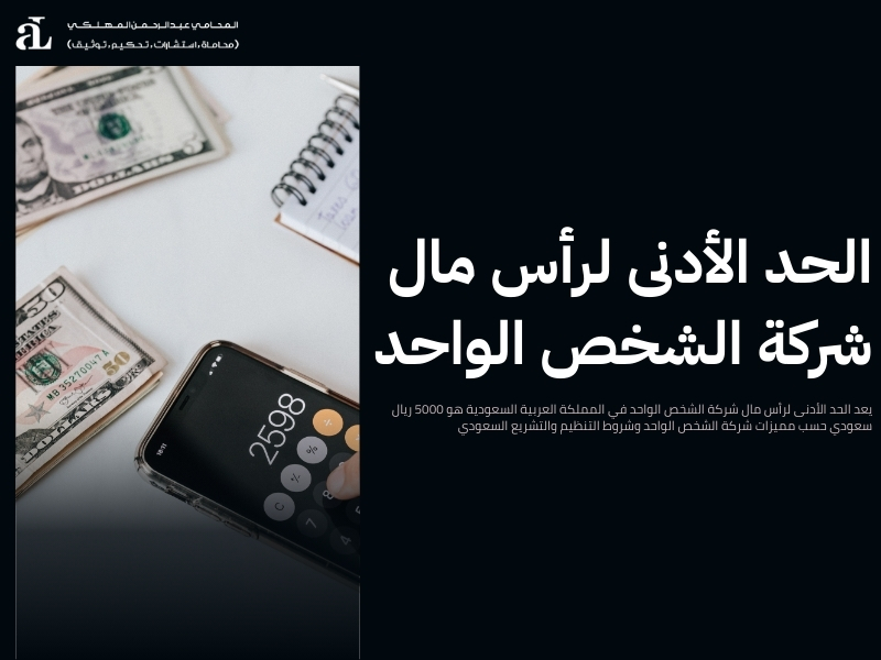 مميزات شركة الشخص الواحد